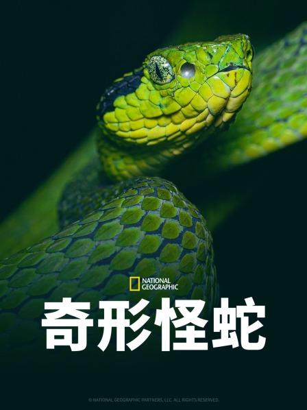 杏爱吧《奇形怪蛇》免费在线观看